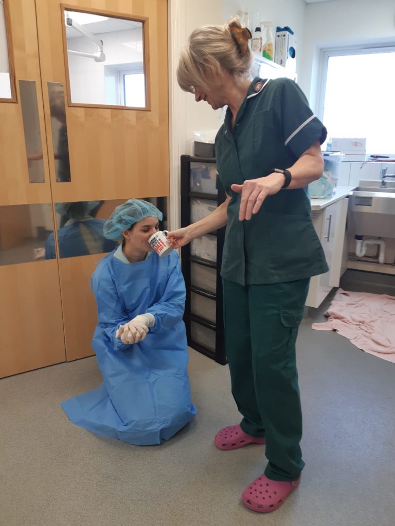 An Ode To Our Veterinary Nurses - By Rachel Parkes